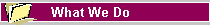 What We Do
